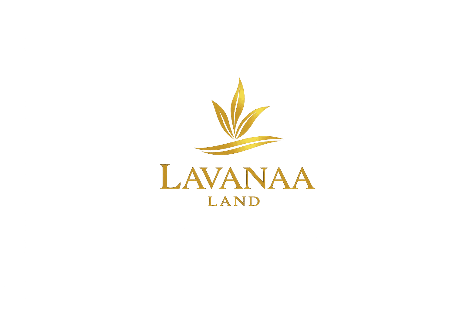 Lavanda Land